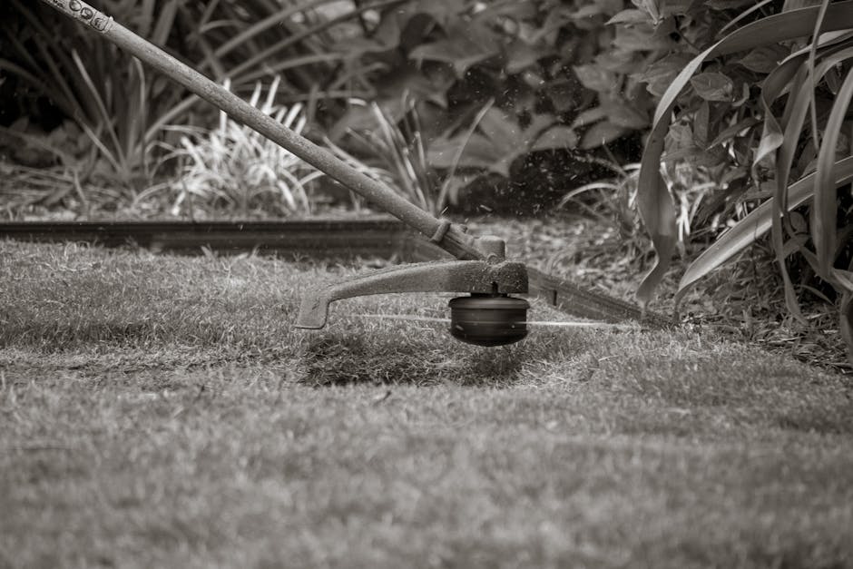 Close-up of a grass trimmer cutting the lawn with foliage background.